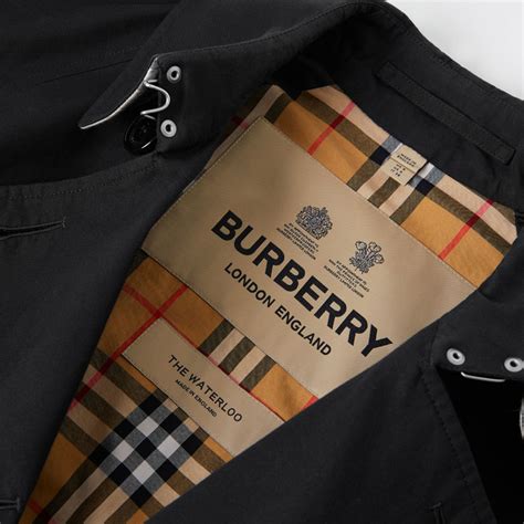 burberry royal